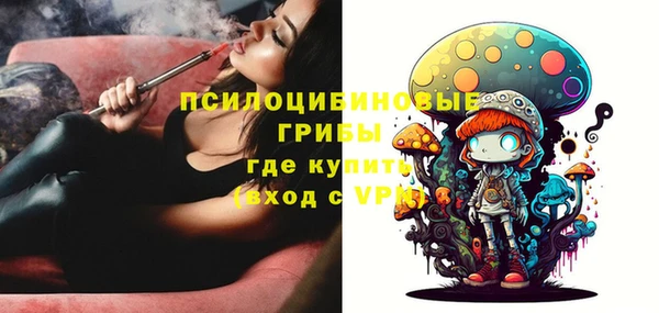 спайс Пестово